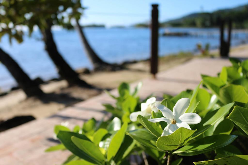 Fare Vai Nui Hotel Tevaitoa Екстериор снимка